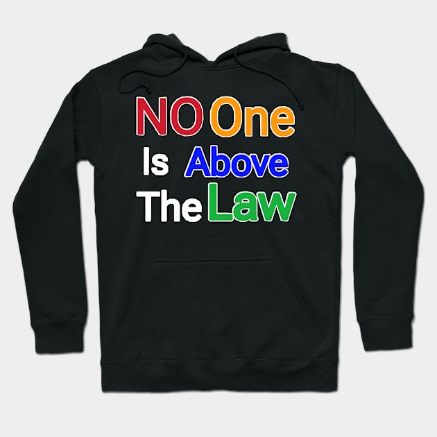 No One Is Above The Law - Back Hoodie by SubversiveWare